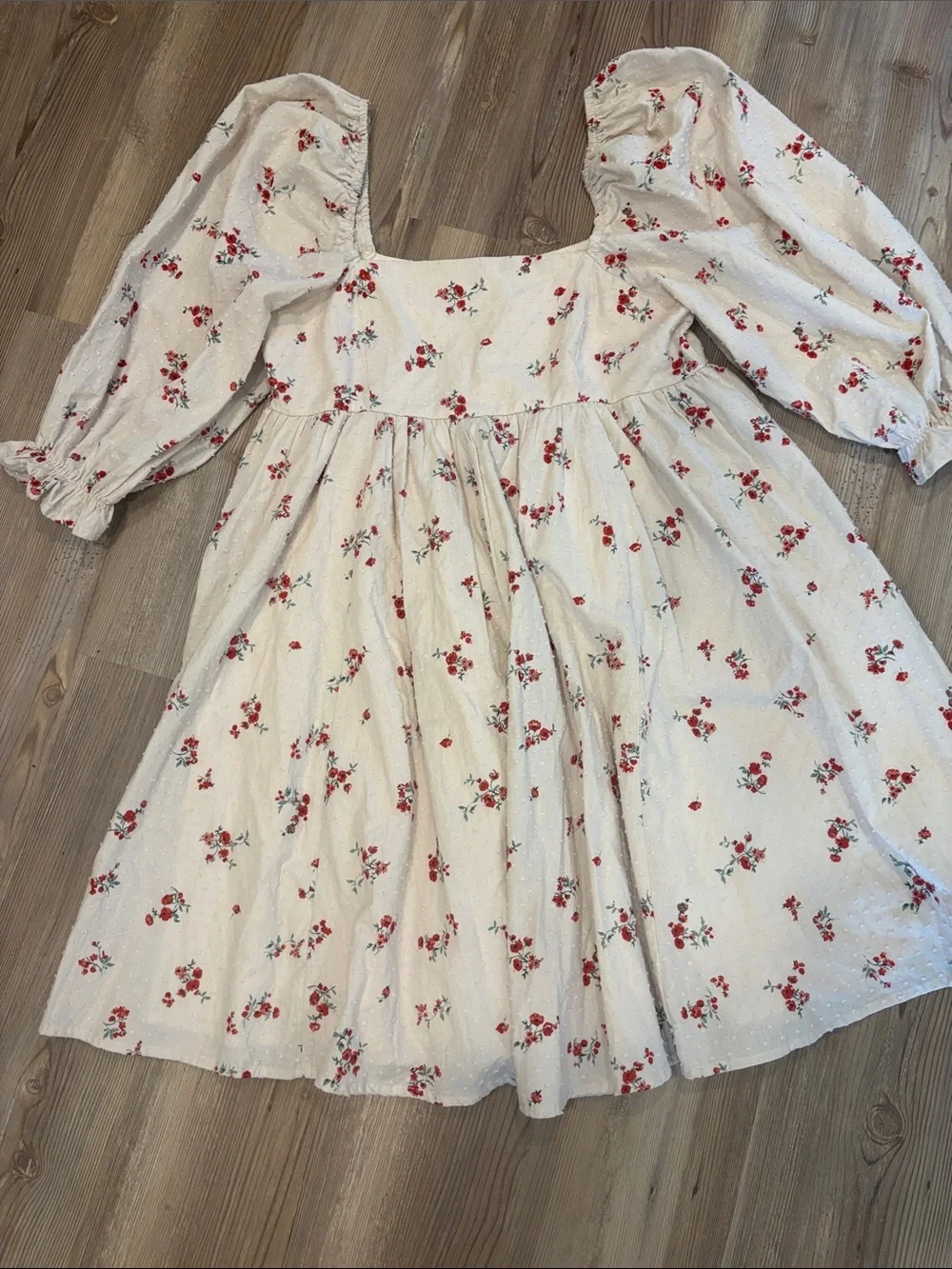 Altar'd State Cream Mini Dress with Red Floral Motif